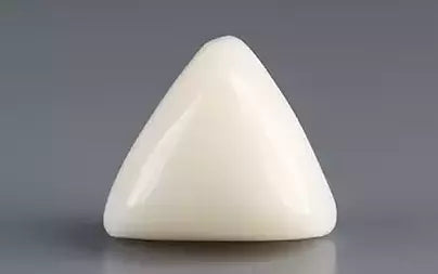 White Coral - 9.88 Carats