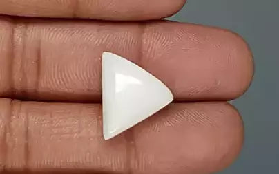 White Coral - 12.50 Carats