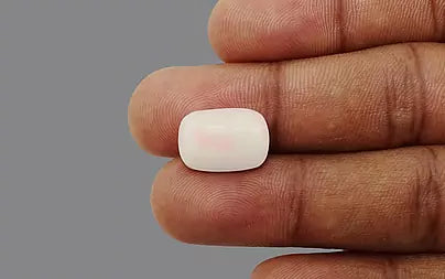 White Coral - 8.15 Carats