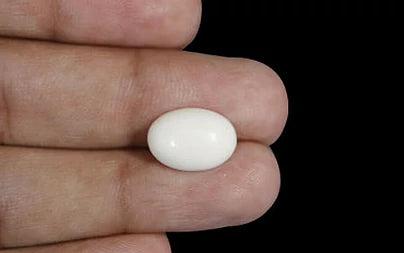 White Coral - 4.16 Carats