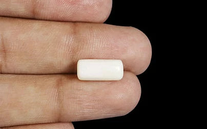 White Coral - 4.34 Carats