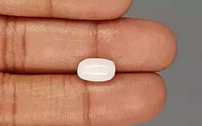 White Coral - 3.49 Carats