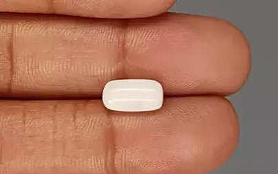 White Coral - 3.23 Carats