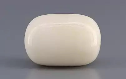 White Coral - 15.25 Carats