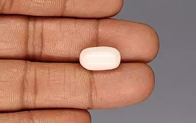 White Coral - 7.75 Carats