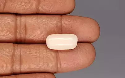 White Coral - 11.96 Carats