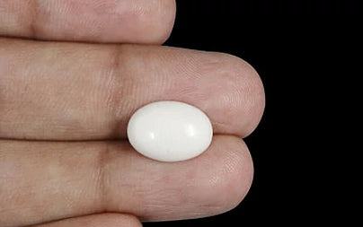 White Coral - 4.13 Carats