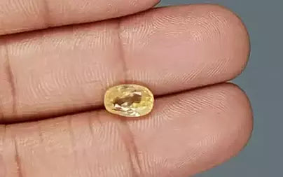 Yellow Sapphire - 2.52 Carats (Pukhraj - 2.75 Ratti)