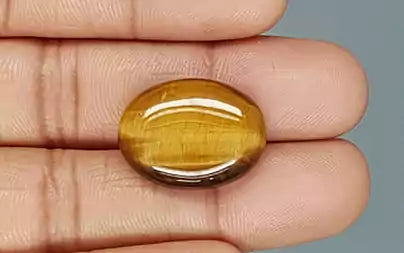 Tiger Eye - 20.75 Carats