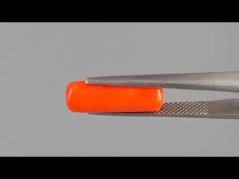 Red Coral (Moonga) - 4.54 Carats