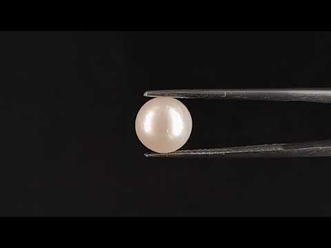 South Sea Pearl - 3.93 Carats (Moti - 4.28 Ratti)
