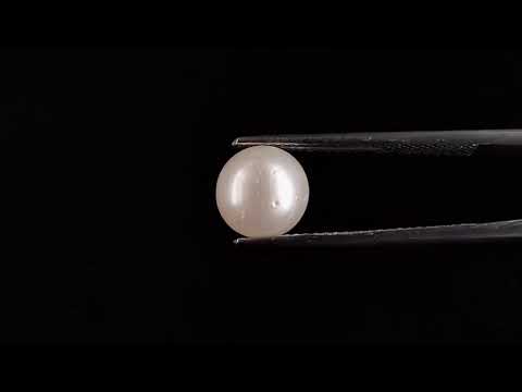South Sea Pearl - 3.48 Carats (Moti - 3.79 Ratti)