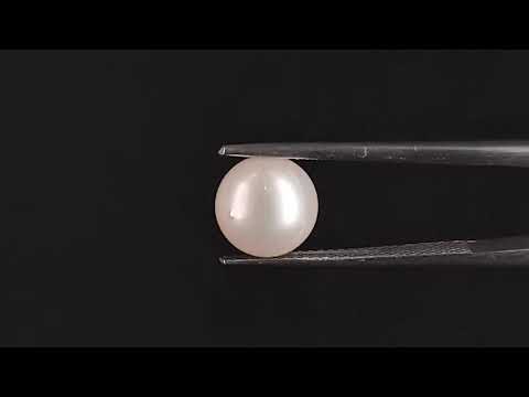 South Sea Pearl - 3.91 Carats (Moti - 4.26 Ratti)