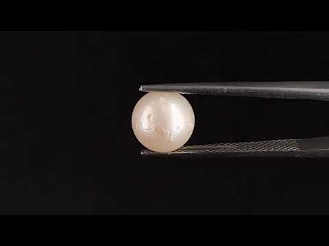 South Sea Pearl - 3.87 Carats (Moti - 4.22 Ratti)
