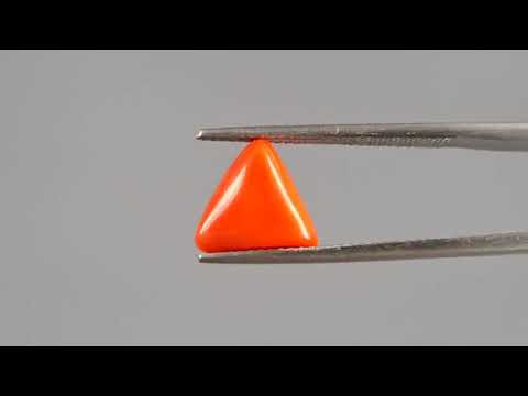 Red Coral (Moonga) - 3.08 Carats