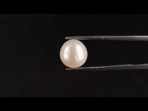 South Sea Pearl - 4.31 Carats (Moti - 4.70 Ratti)