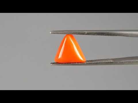 Red Coral (Moonga) - 3.41 Carats