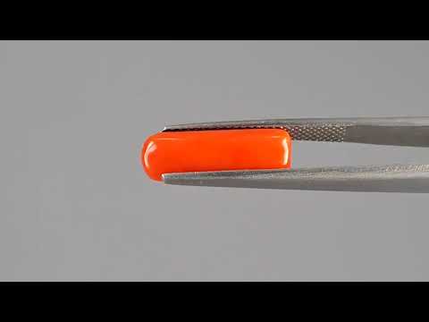 Red Coral (Moonga) - 4.31 Carats