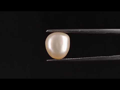 Venezuela Pearl - 3.48 Carats (Moti - 3.79 Ratti)