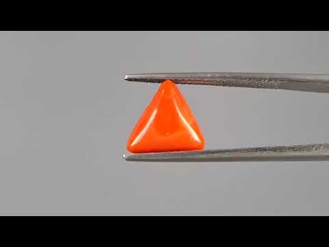 Red Coral (Moonga) - 2.94 Carats