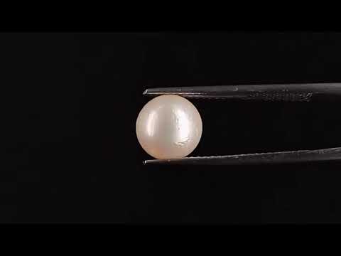 South Sea Pearl - 3.77 Carats (Moti - 4.11 Ratti)