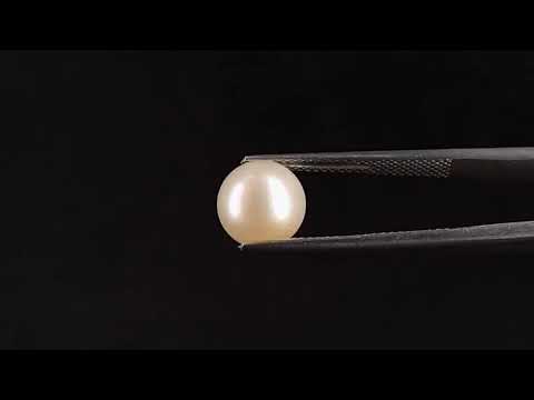 South Sea Pearl - 4.58 Carats (Moti - 4.99 Ratti)