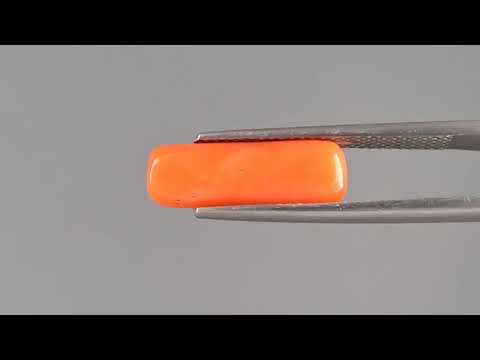 Red Coral (Moonga) - 4.04 Carats