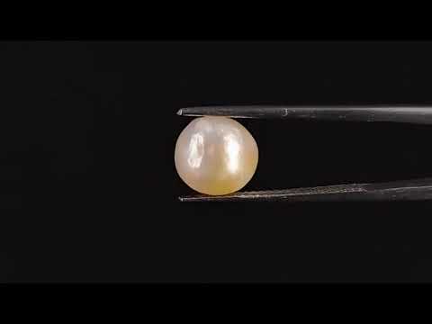 Venezuela Pearl - 4.74 Carats (Moti - 5.17 Ratti)