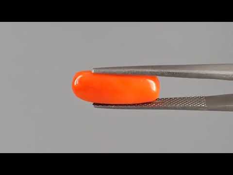 Red Coral (Moonga) - 4.45 Carats