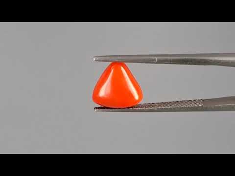 Red Coral (Moonga) - 2.67 Carats