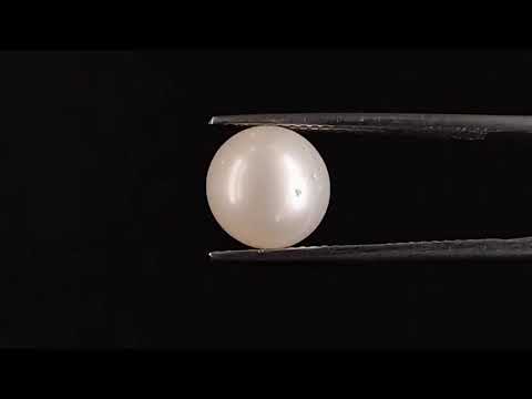 South Sea Pearl - 4.87 Carats (Moti - 5.31 Ratti)