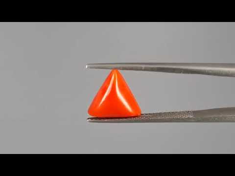 Red Coral (Moonga) - 3.81 Carats