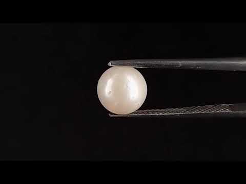 South Sea Pearl - 3.78 Carats (Moti - 4.12 Ratti)