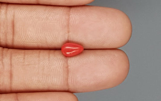 Red Coral (Moonga) Gemstone - 1.27 Carats