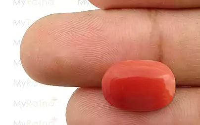 Red Coral - 9.59 Carats (Moonga - 10.45 Ratti)