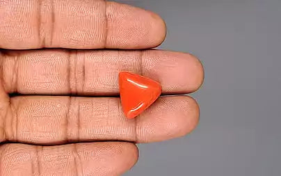 Red Coral (Moonga) - 16.91 Carats