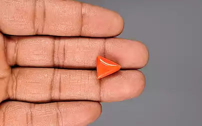 Red Coral (Moonga) - 6.63 Carats