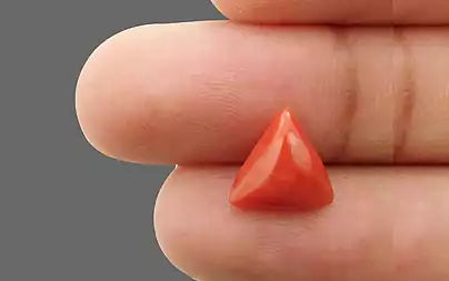 Red Coral - 3.28 Carats (Moonga - 3.58 Ratti)