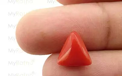 Red Coral - 3.71 Carats (Moonga - 4.04 Ratti)