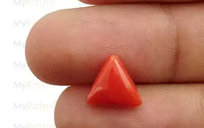 Red Coral - 2.60 Carats (Moonga - 2.83 Ratti)