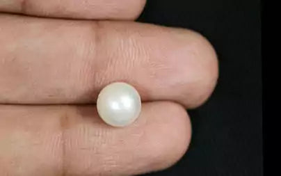 South Sea Pearl - 3.61 Carats (Moti - 3.93 Ratti)