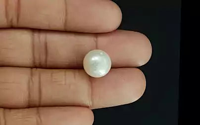 South Sea Pearl - 11.22 Carats (Moti - 12.23 Ratti)