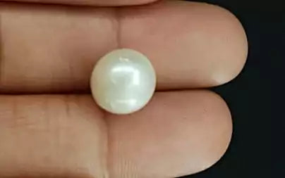 South Sea Pearl - 10.79 Carats (Moti - 11.76 Ratti)