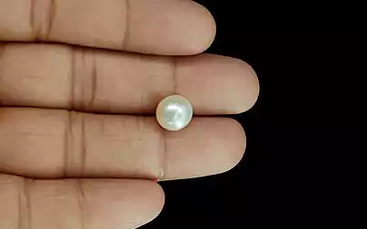 South Sea Pearl - 5.76 Carats (Moti - 6.28 Ratti)