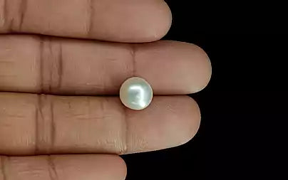 South Sea Pearl (Moti) - 5.92 Carats
