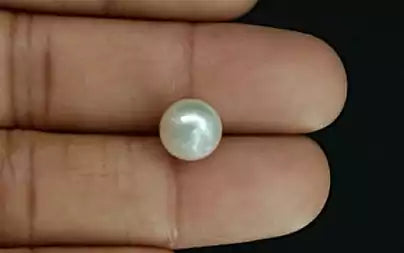South Sea Pearl (Moti) - 5.52 Carats