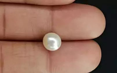 South Sea Pearl - 3.84 Carats (Moti - 4.19 Ratti)