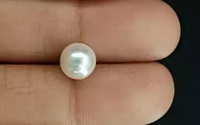 South Sea Pearl - 4.42 Carats (Moti - 4.82 Ratti)
