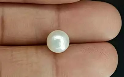 South Sea Pearl - 4.52 Carats (Moti - 4.93 Ratti)