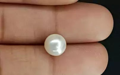 South Sea Pearl - 4.73 Carats (Moti - 5.16 Ratti)